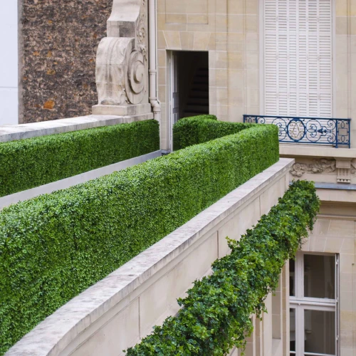Hecken und Formschnitt an einem Gebäude