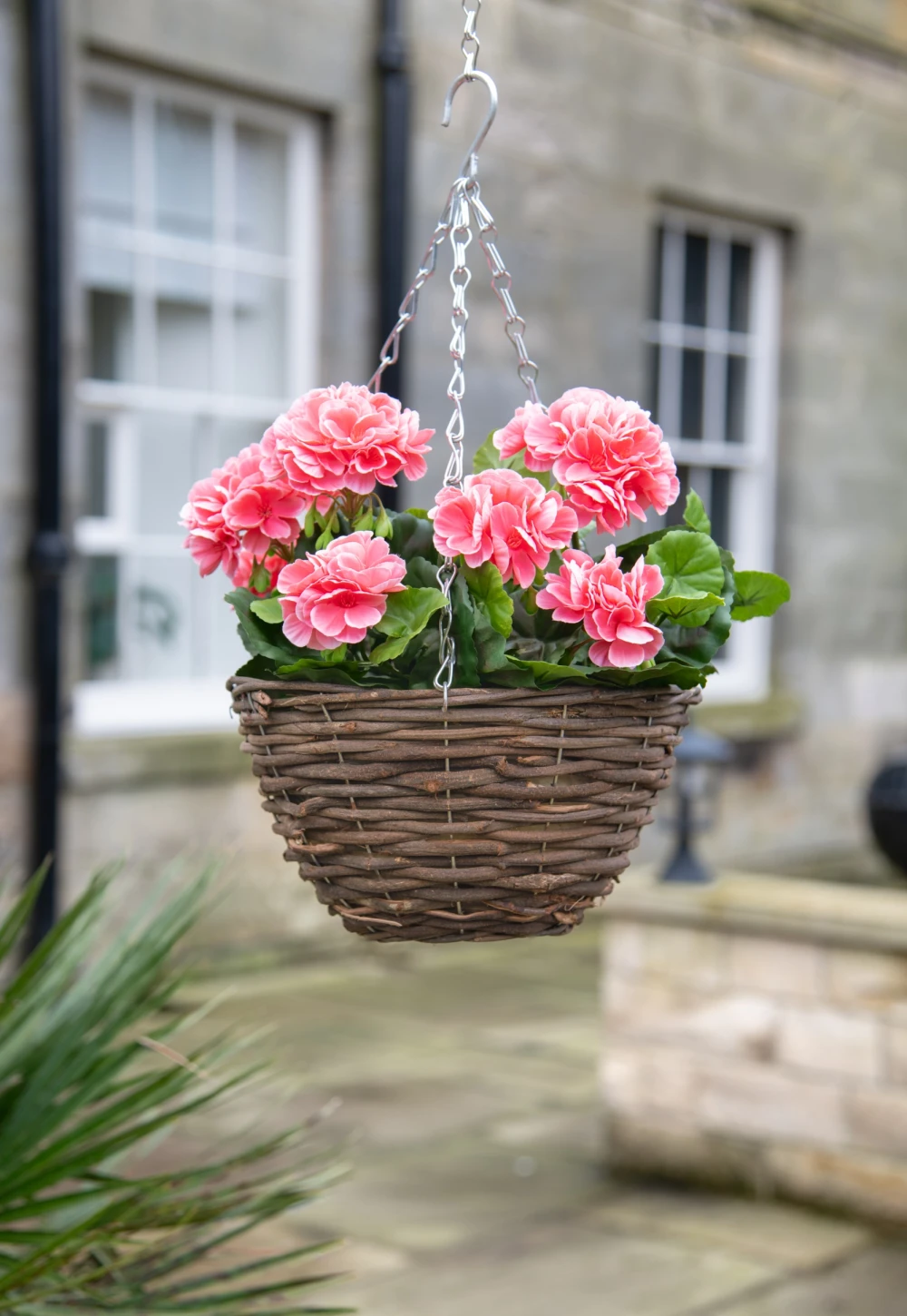 pink geranium basket