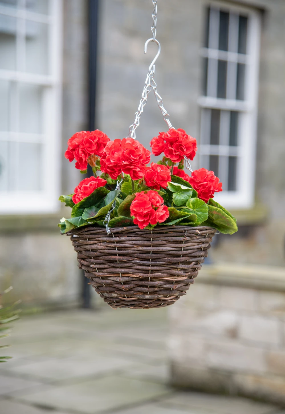 red geranium basket