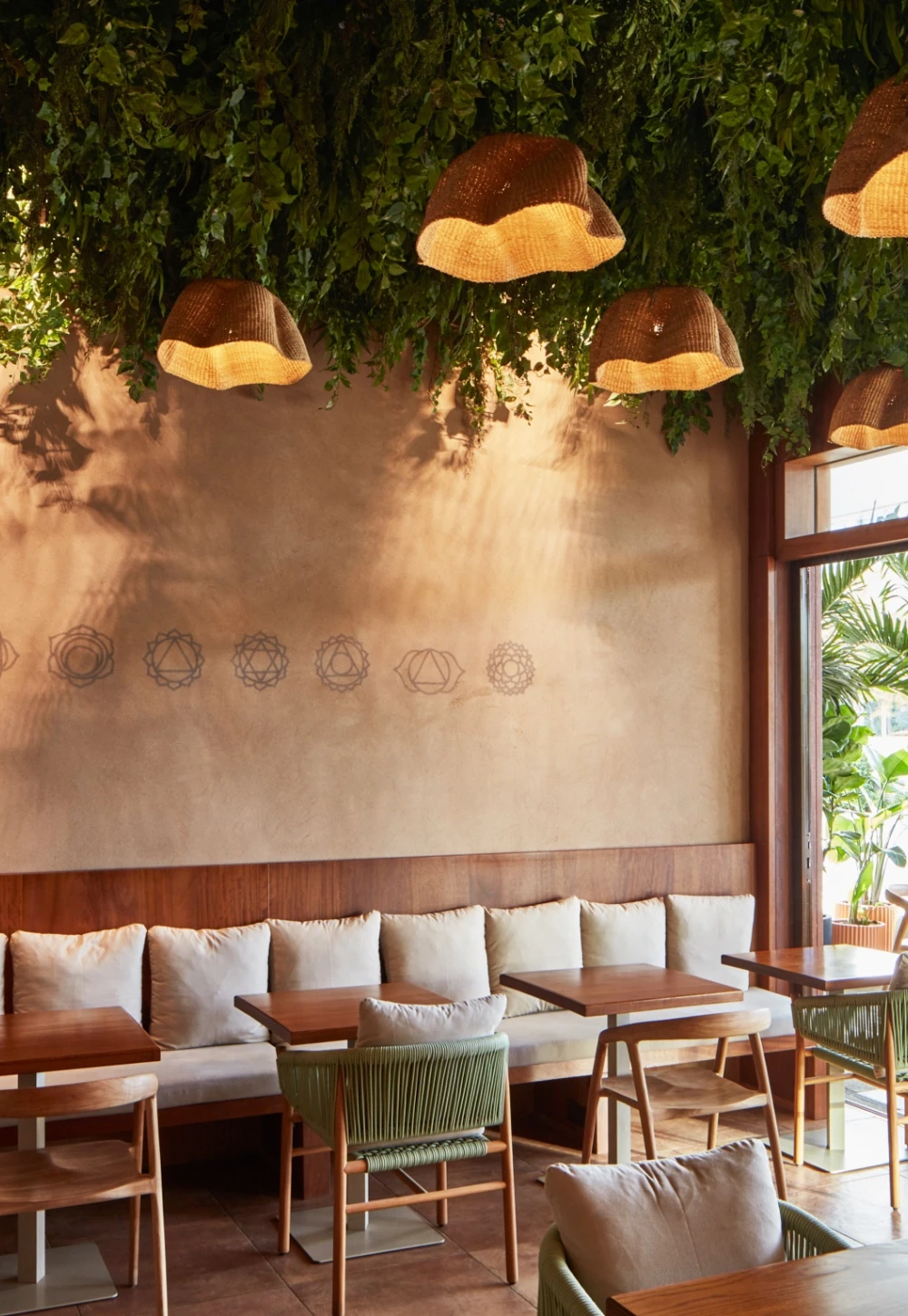 hanging plants in cafe