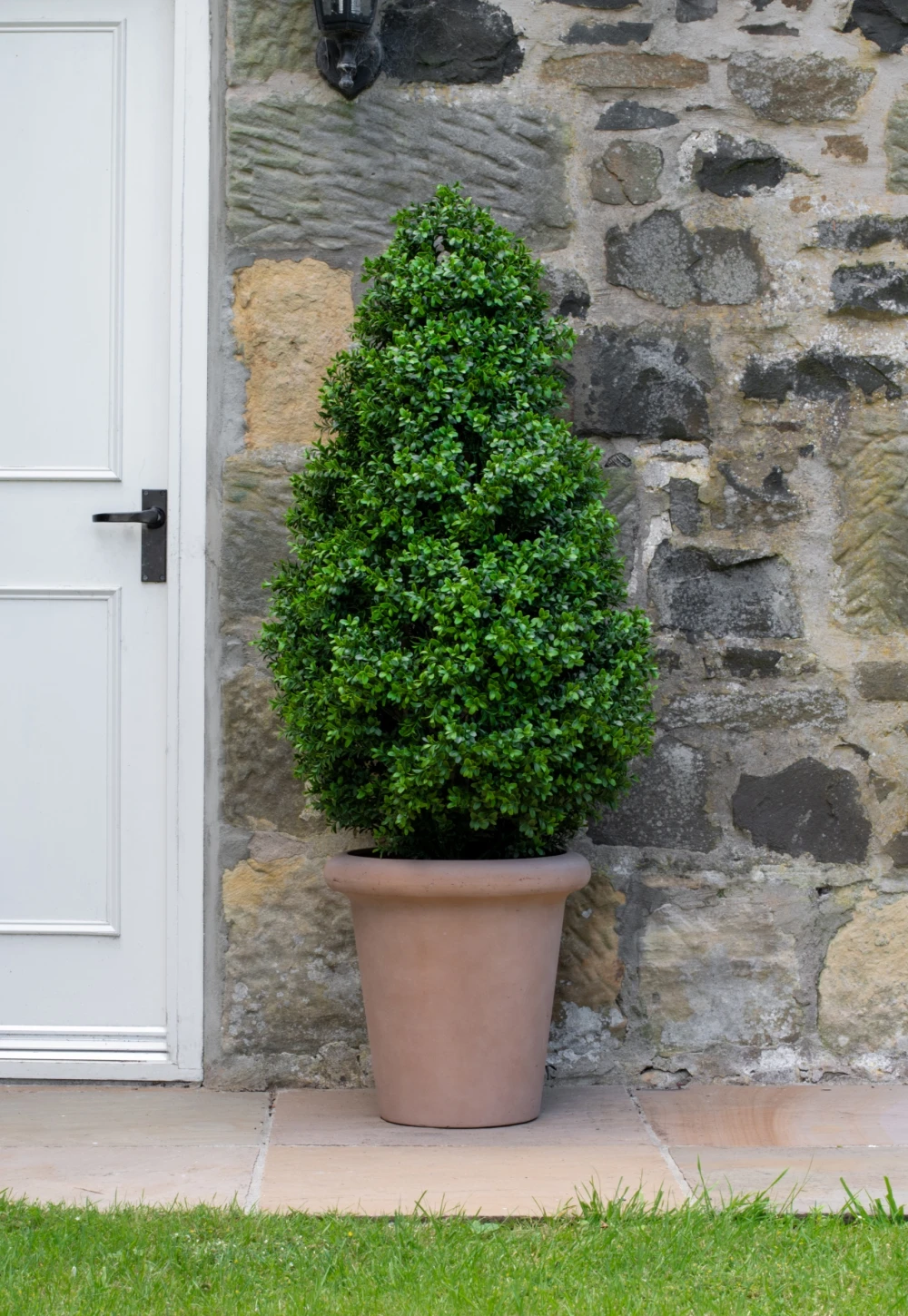 topiary tower in pot