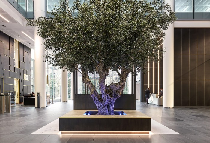An artificial bespoke olive tree situated inside Three Snow Hill, Birmingham