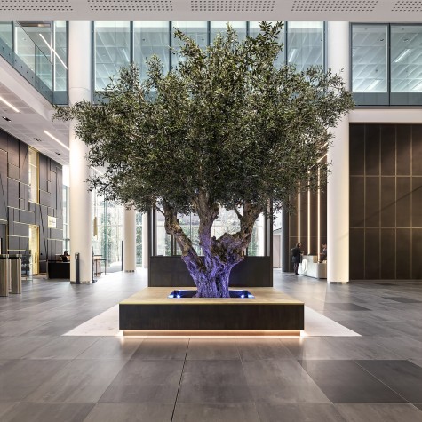 An artificial bespoke olive tree situated inside Three Snow Hill, Birmingham