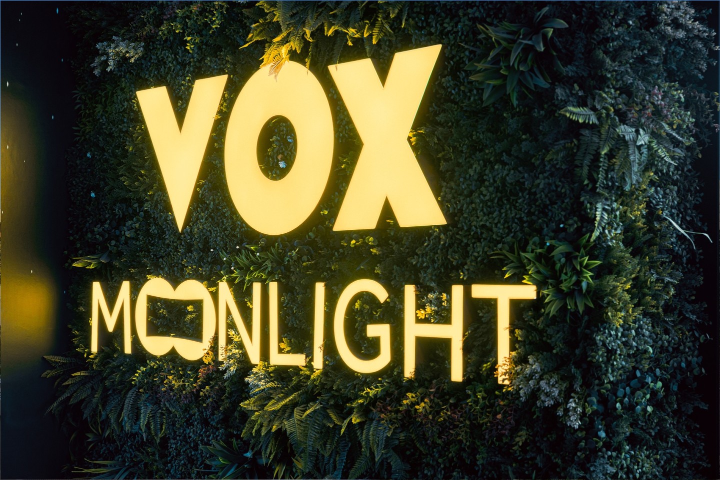 Artificial green-wall installed in Vox cinema 