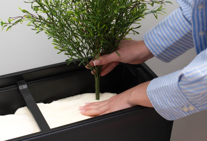 insterting the plants into the spaces