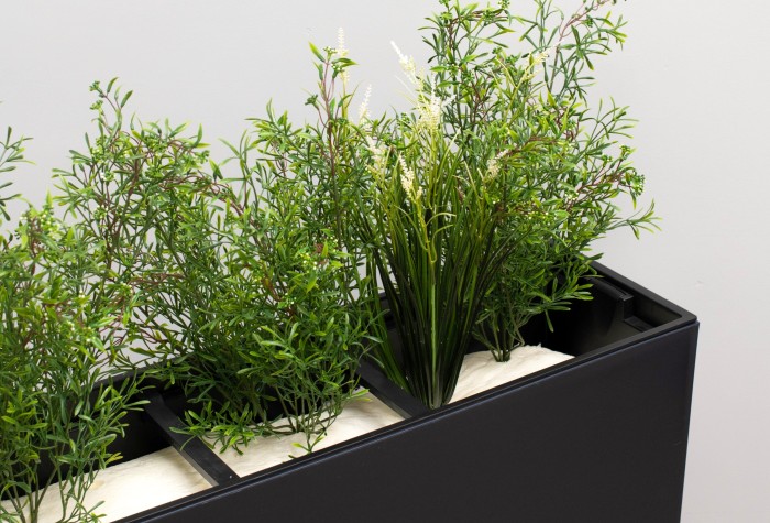 plants displayed in position